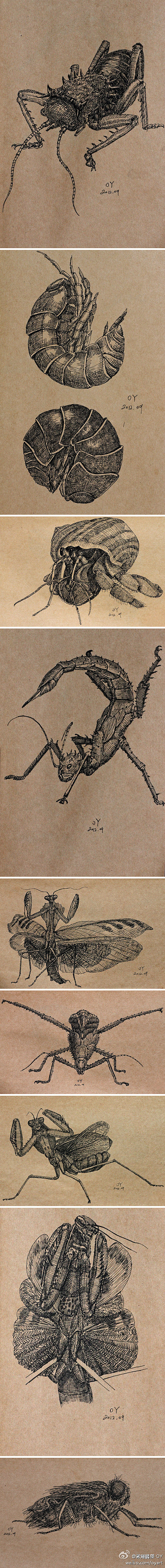 OY手绘：动物系列（2010-2015）（图ZMjU0MDM3MTY=） - 艺术插画 - 站酷设计师欧阳鹏杰_OY原创素材 - 站酷ZCOOL