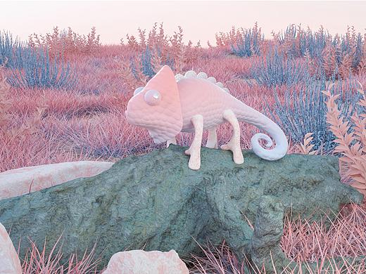 自然与几何动物 | NAGA