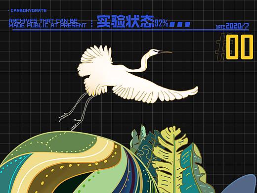 傣族民族/大米包装设计