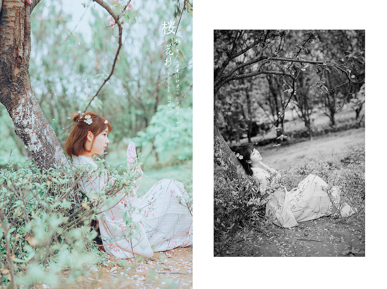 桜花抄_ROEMWO站酷ZCOOL