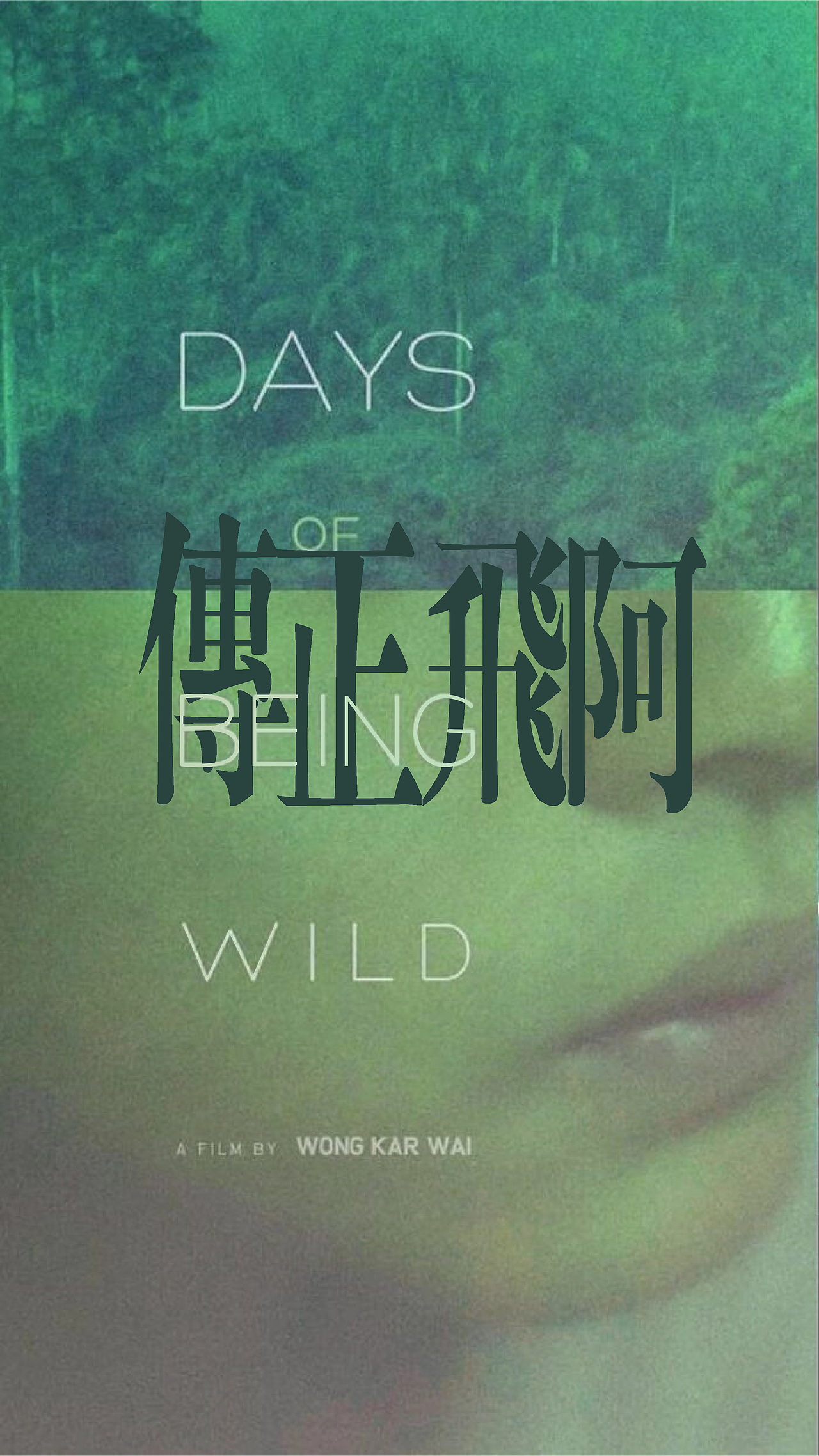 阿飞正传片头字体设计