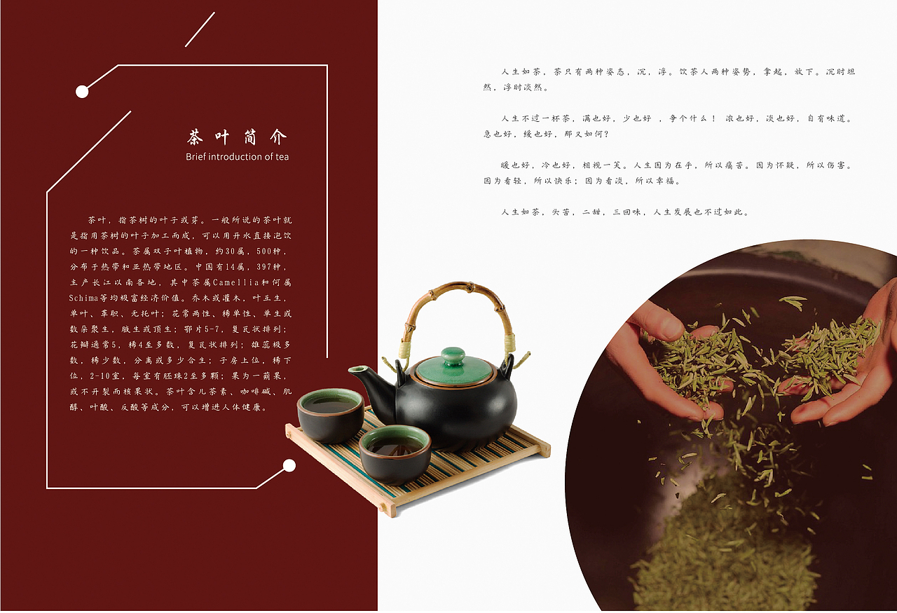 茶叶画册