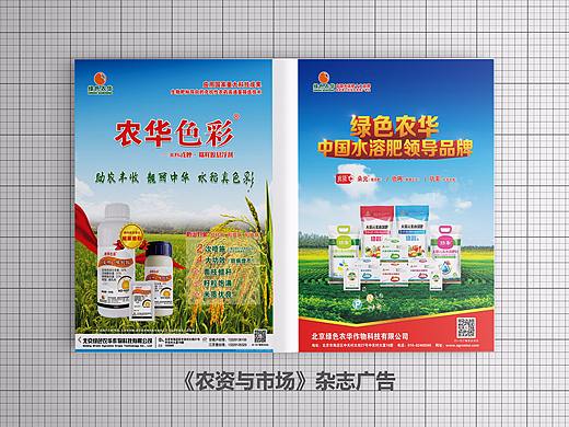杂志广告