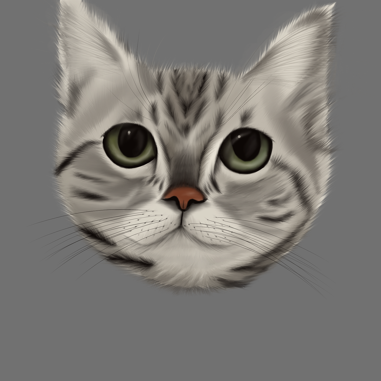 插画美短虎斑猫