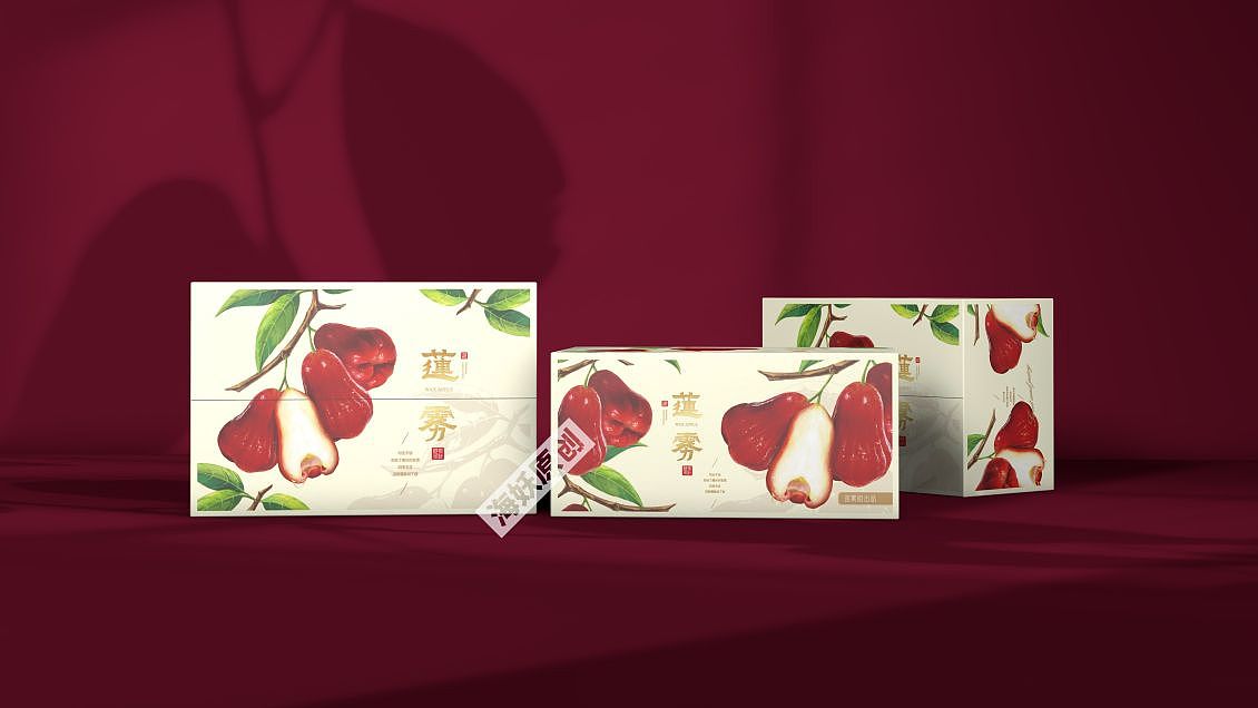 {原创}莲雾水果食品礼盒手绘插画包装设计