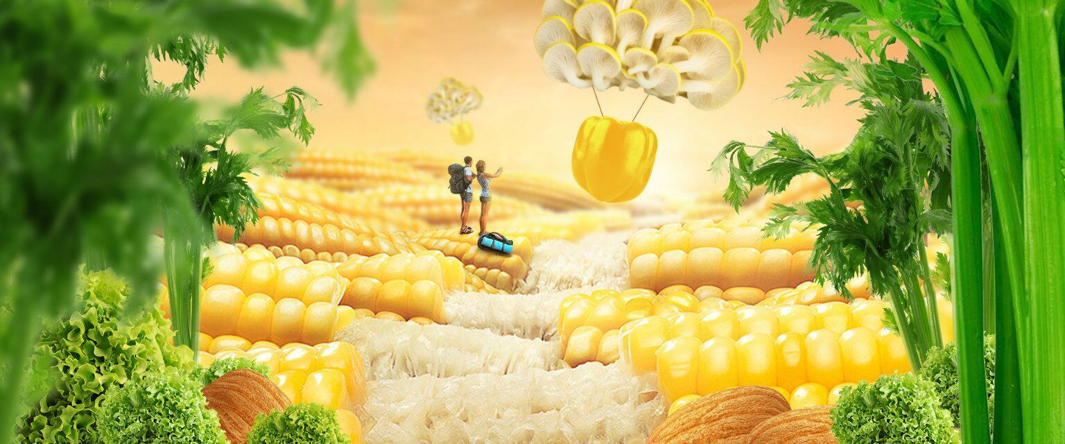 图片合成-蔬菜世界|网页|banner/广告图|小窝窝 - 原创作品 - 站酷