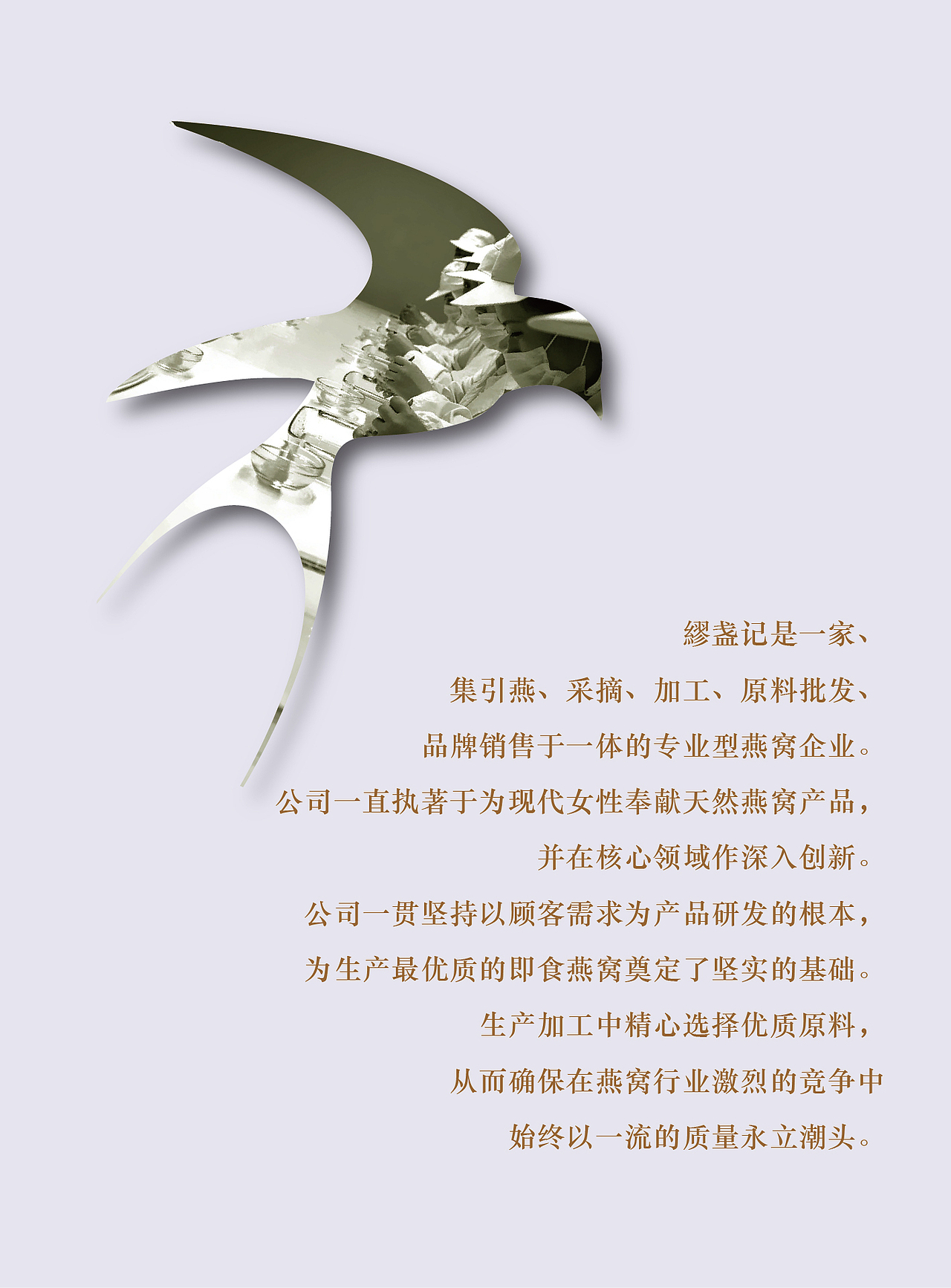 繆盏记燕窝-及速5分钟产品系列包装设计（图ZNjQyNDQ1MjQ=） - 包装 - 站酷设计师黑狐品牌策划原创素材 - 站酷ZCOOL