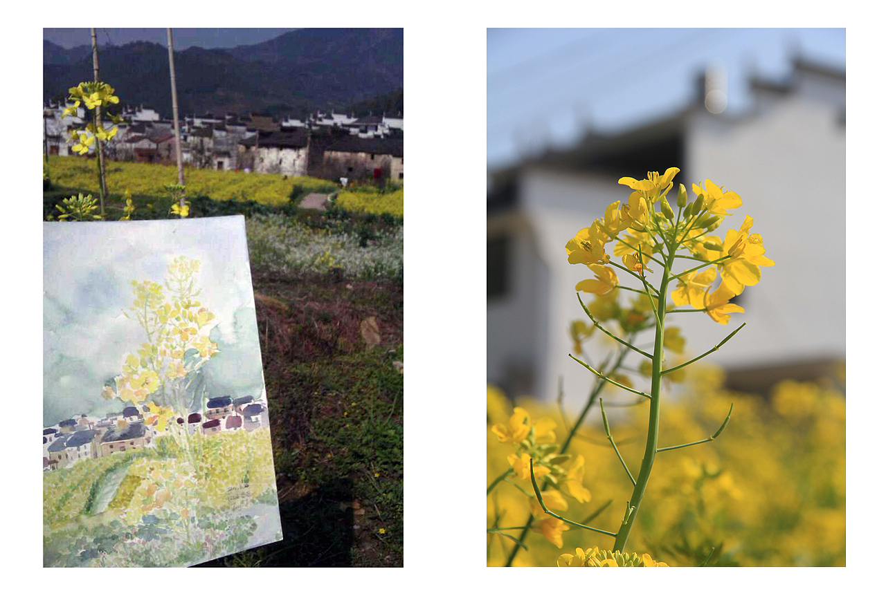 三月婺源水彩写生