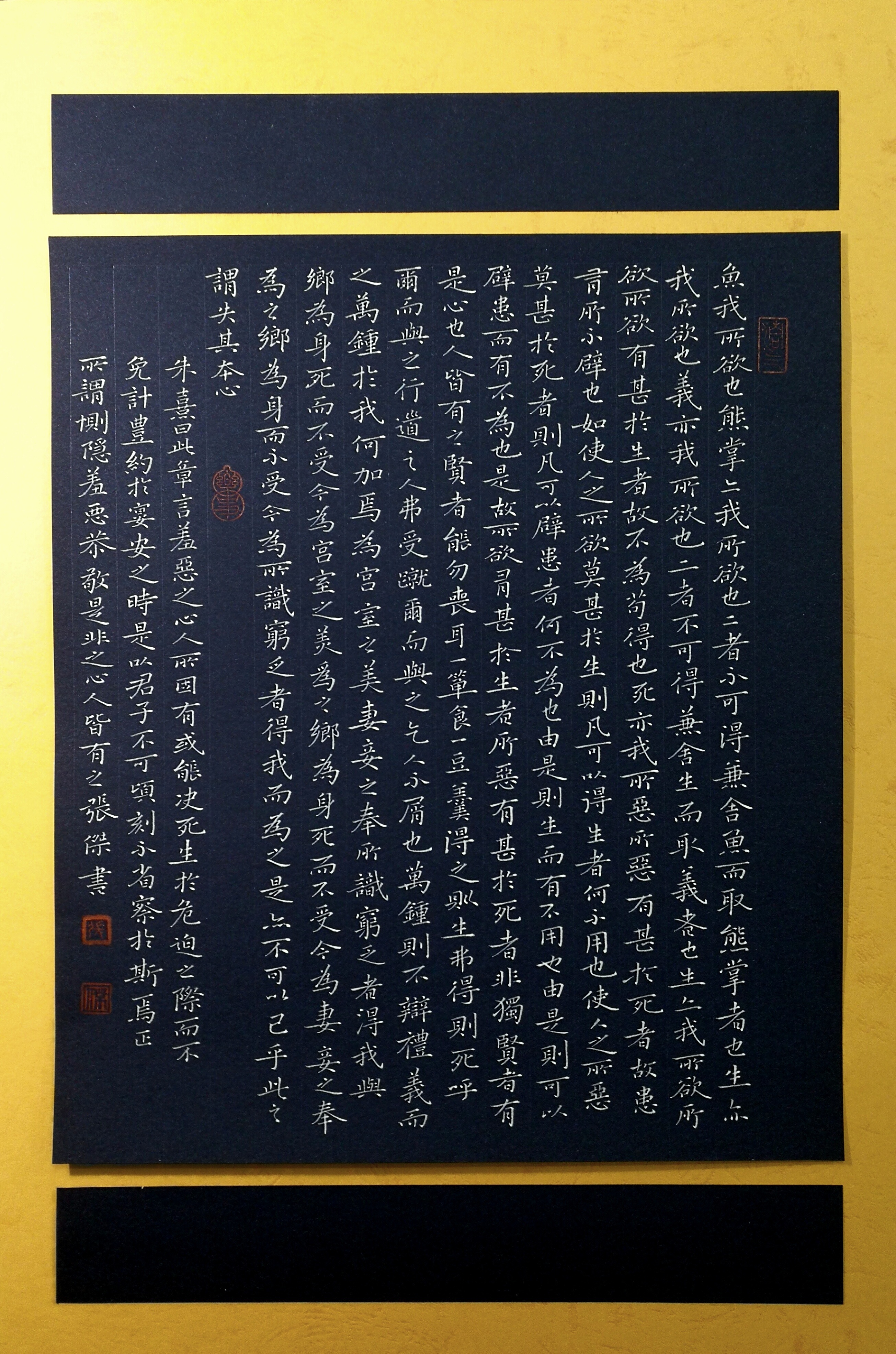 硬笔书法作品《鱼我所欲也》