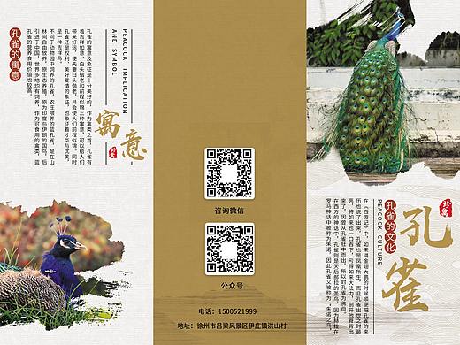 孔雀三折页