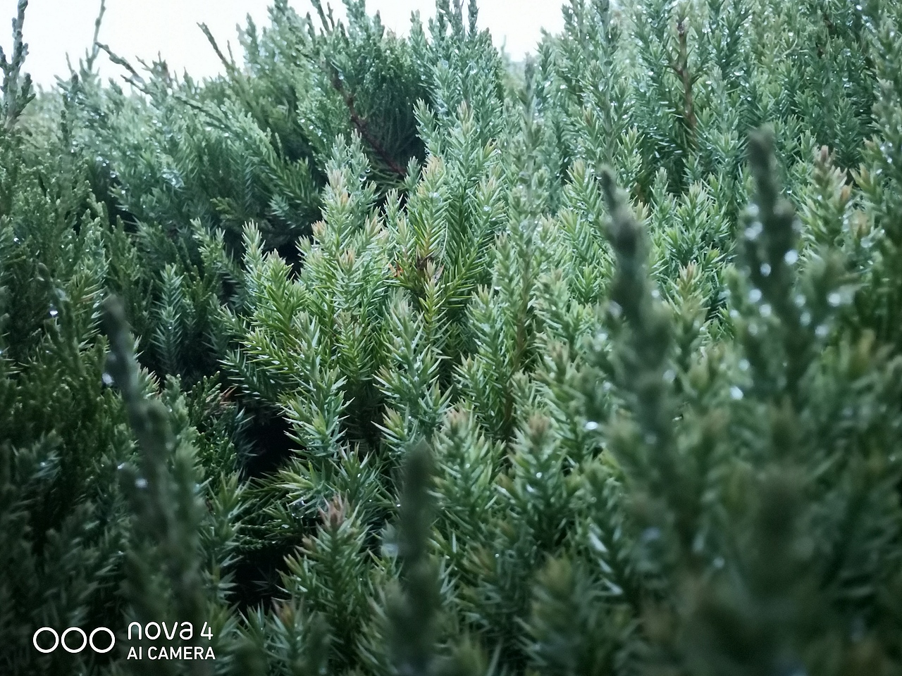 练手（图ZMTk2NjE5NDky） - 产品摄影 - 站酷设计师闻人本源原创素材 - 站酷ZCOOL