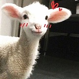 Vinnicy的头像
