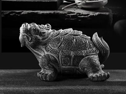 龙海龙龟