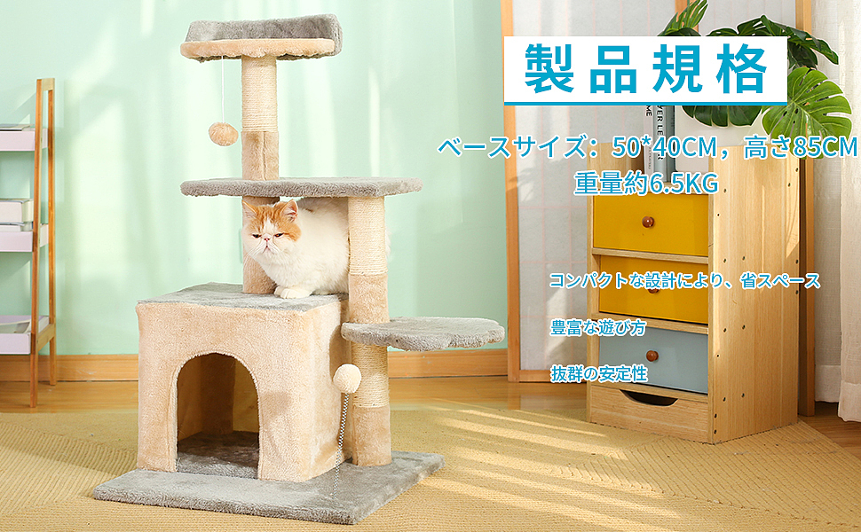 淘宝亚马逊产品拍摄A+商品主图设计视频拍摄宠物用品