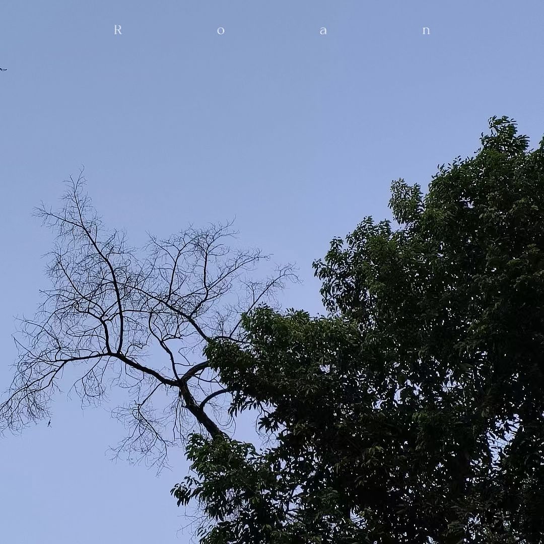 ☁️🌲🧵照片（图ZMzQ3OTEwOTAw） - 风光摄影 - 站酷设计师江野舟原创素材 - 站酷ZCOOL