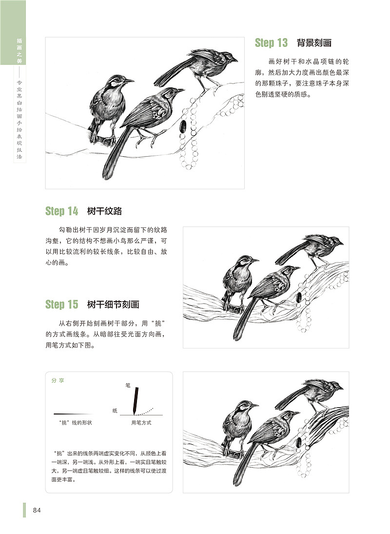 《黑领噪鹛与水晶项链》绘制步骤