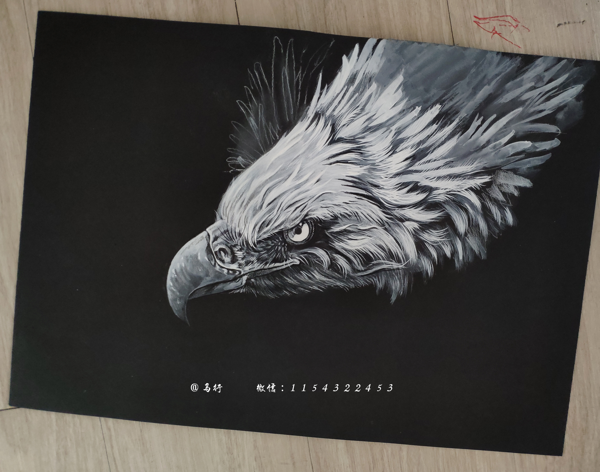 鹰|纯艺术|绘画|马行画彩铅 - 原创作品 - 站酷 (zcool)