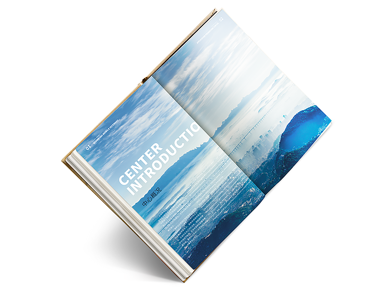 IPUDONG宣传册风格设计