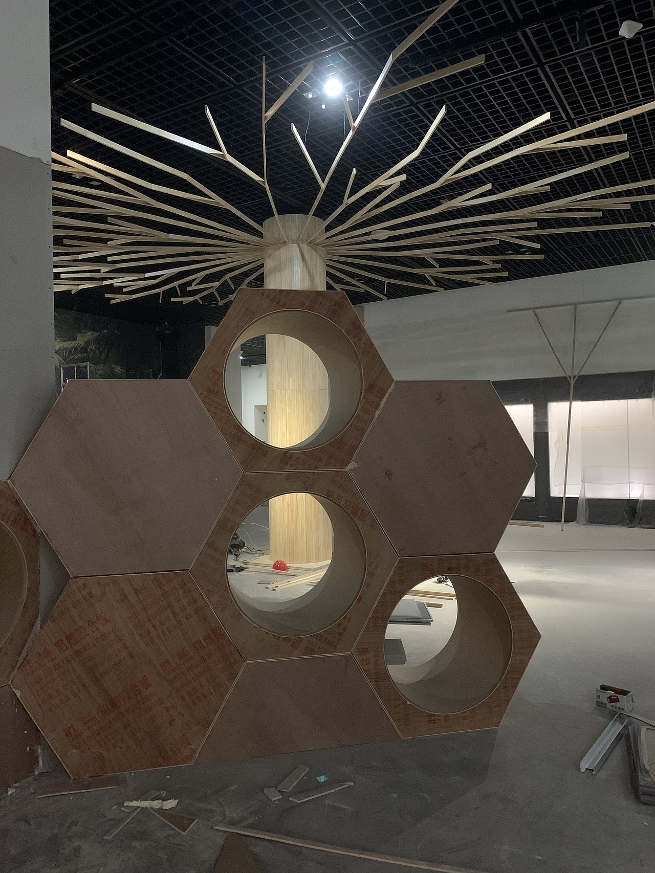 《虫.逢》世界珍稀昆虫标本展——落地展现总结(图ZMjQxOTMzMjky) - 家装设计 - 站酷设计师画画的空间设计师原创素材 - 站酷ZCOOL