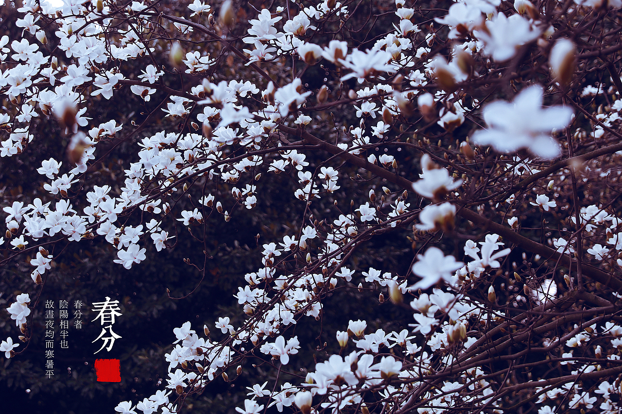 二十四气节之 春分