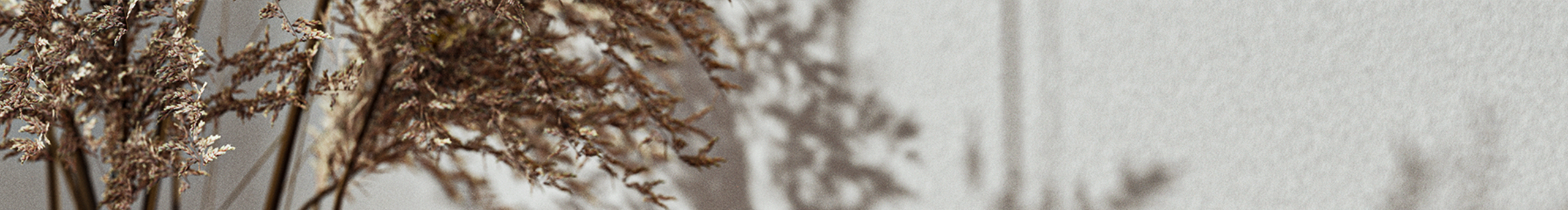 不改了行嗎的個人主頁（封面預(yù)覽） - 主頁封面設(shè)置 - 站酷設(shè)計師不改了行嗎原創(chuàng)素材 - 站酷ZCOOL