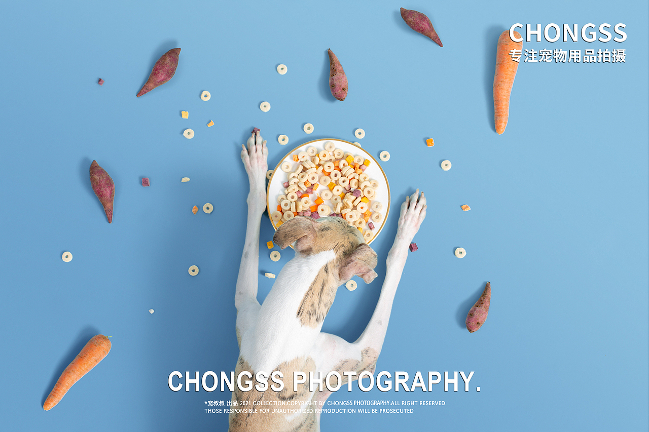 宠物用品/ 宠物产品/海洋之星宠物冻干粮（图ZMjg2NTc2NTUy） - 产品摄影 - 站酷设计师宠叔叔传媒原创素材 - 站酷ZCOOL