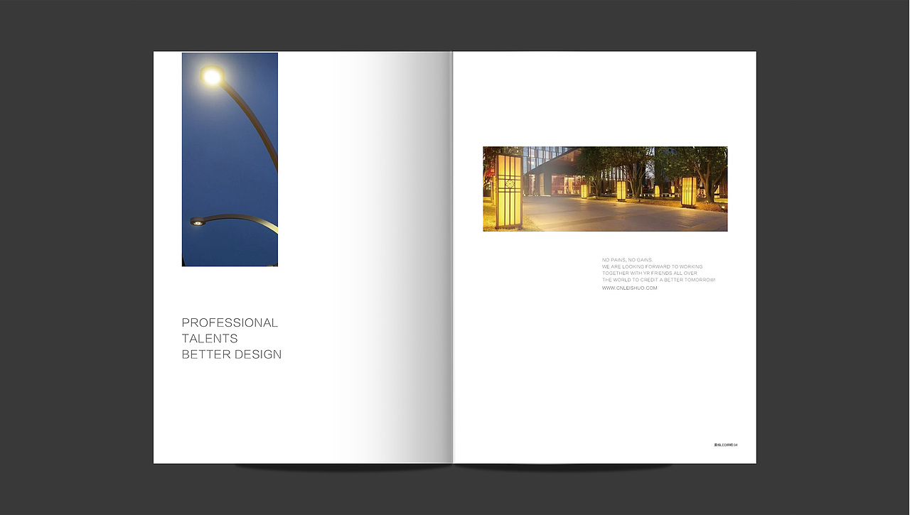 雷烁照明-画册设计