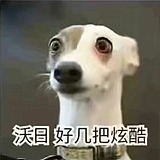 快被蠢死啦的头像