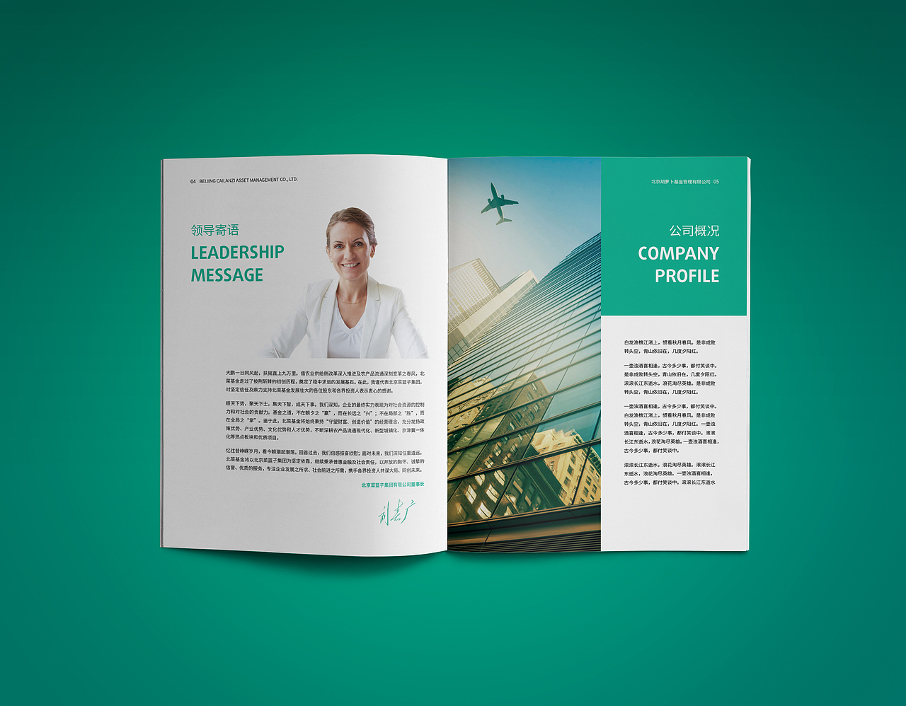 金融类画册设计（图ZNzYxOTAxODA=） - 书籍/画册 - 站酷设计师youngmencn原创素材 - 站酷ZCOOL