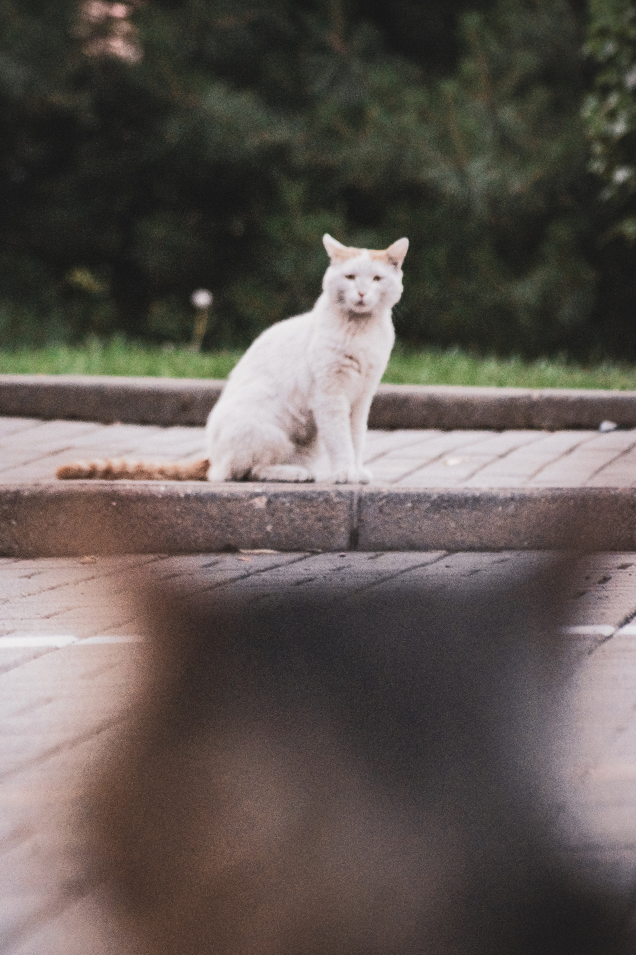 毕业季/（图ZMjY3NjAxMzA0） - 人像摄影 - 站酷设计师拾荒l原创素材 - 站酷ZCOOL