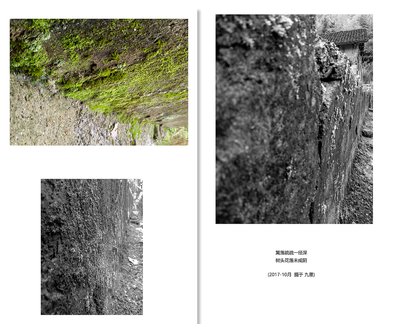 河汉影斜初过雨，井桐凉堕已迎秋（R9拍摄+PS微调）（图ZOTM5NTk1MTI=） - 风光摄影 - 站酷设计师游仙Apanda原创素材 - 站酷ZCOOL