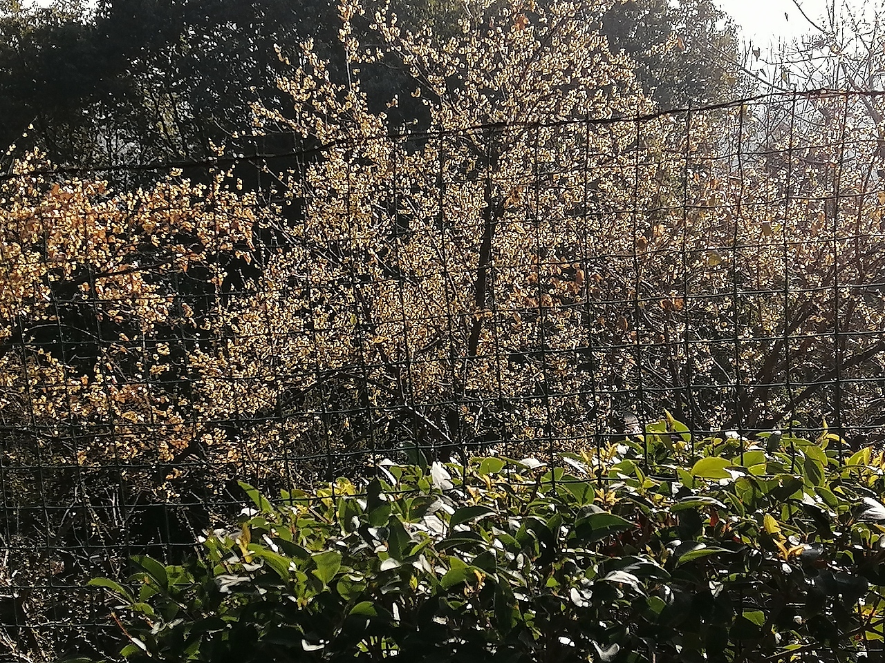 境源己造,相由心生