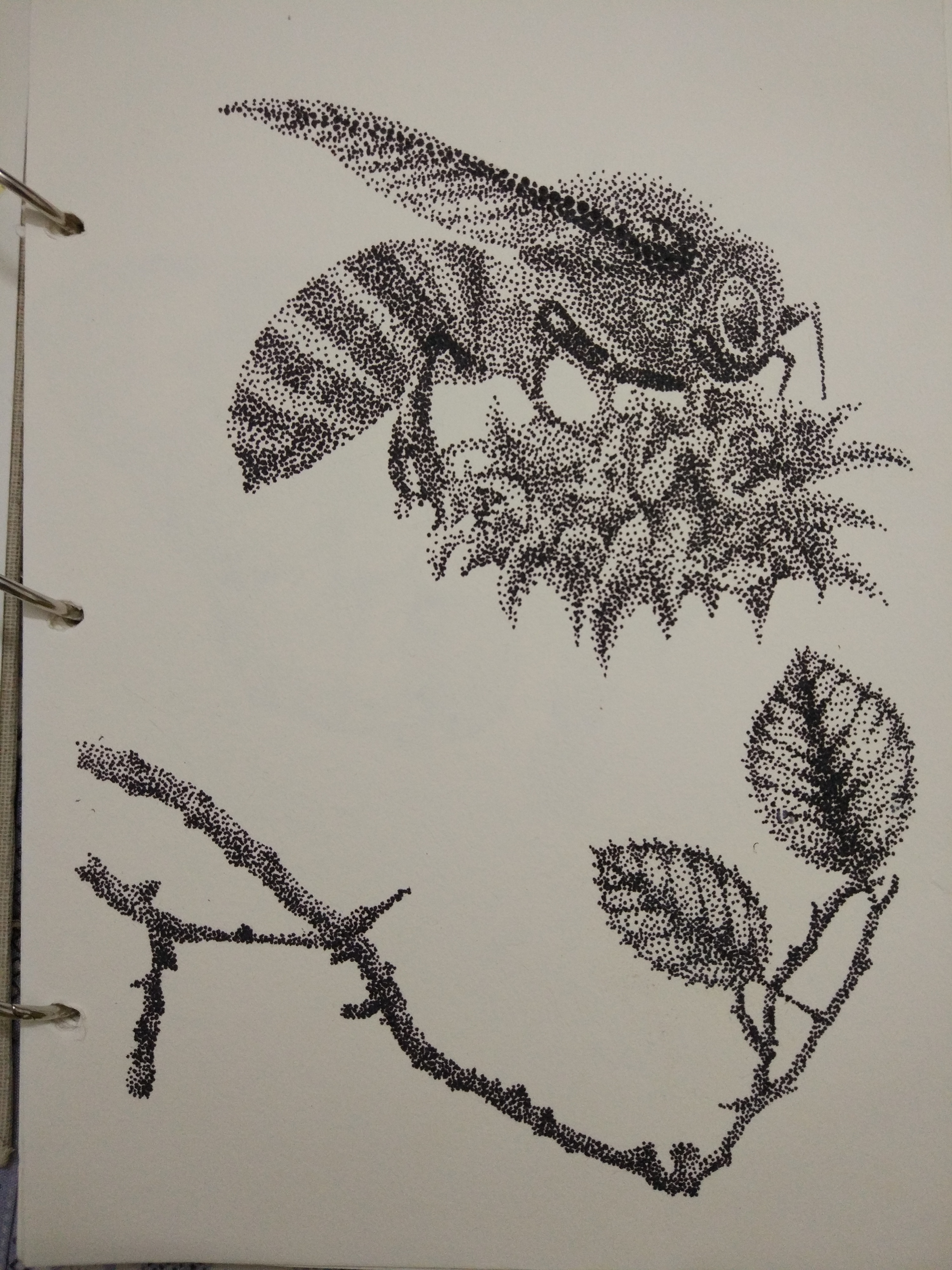 点绘|插画|插画习作|蔡光文 - 原创作品 - 站酷 (zcool)