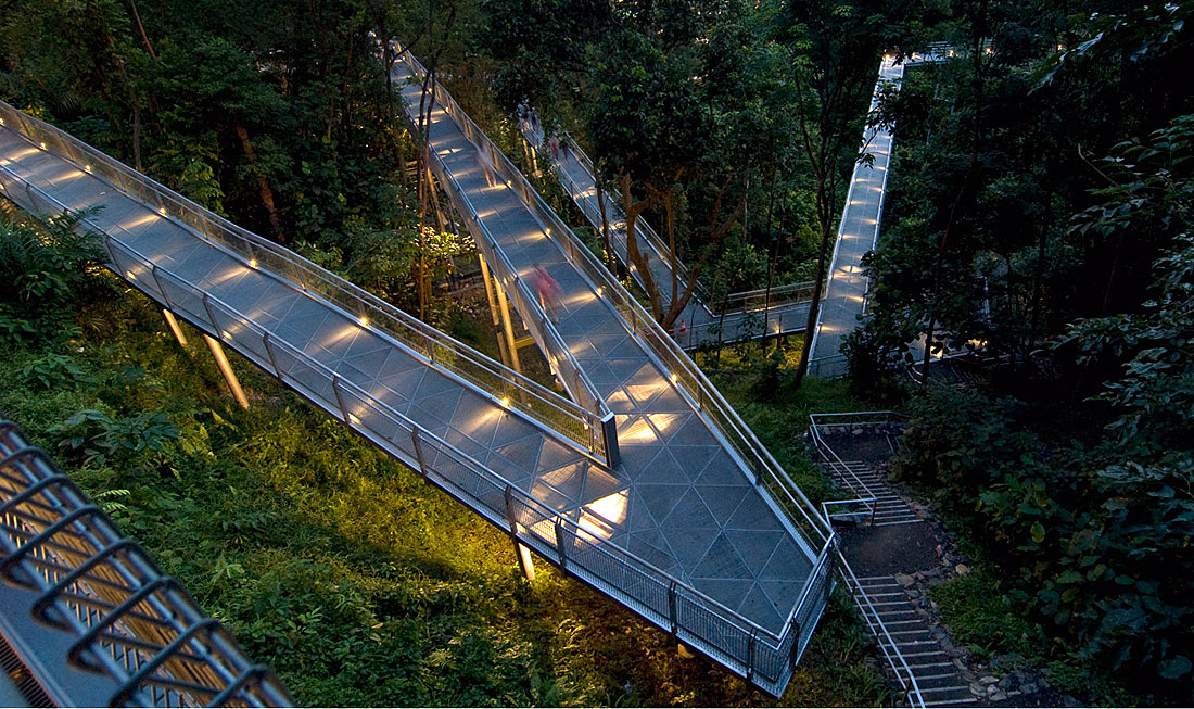 夜景意向图2（图ZMTE0MTUzMjgw） - 其他 - 站酷设计师江心蕊原创素材 - 站酷ZCOOL