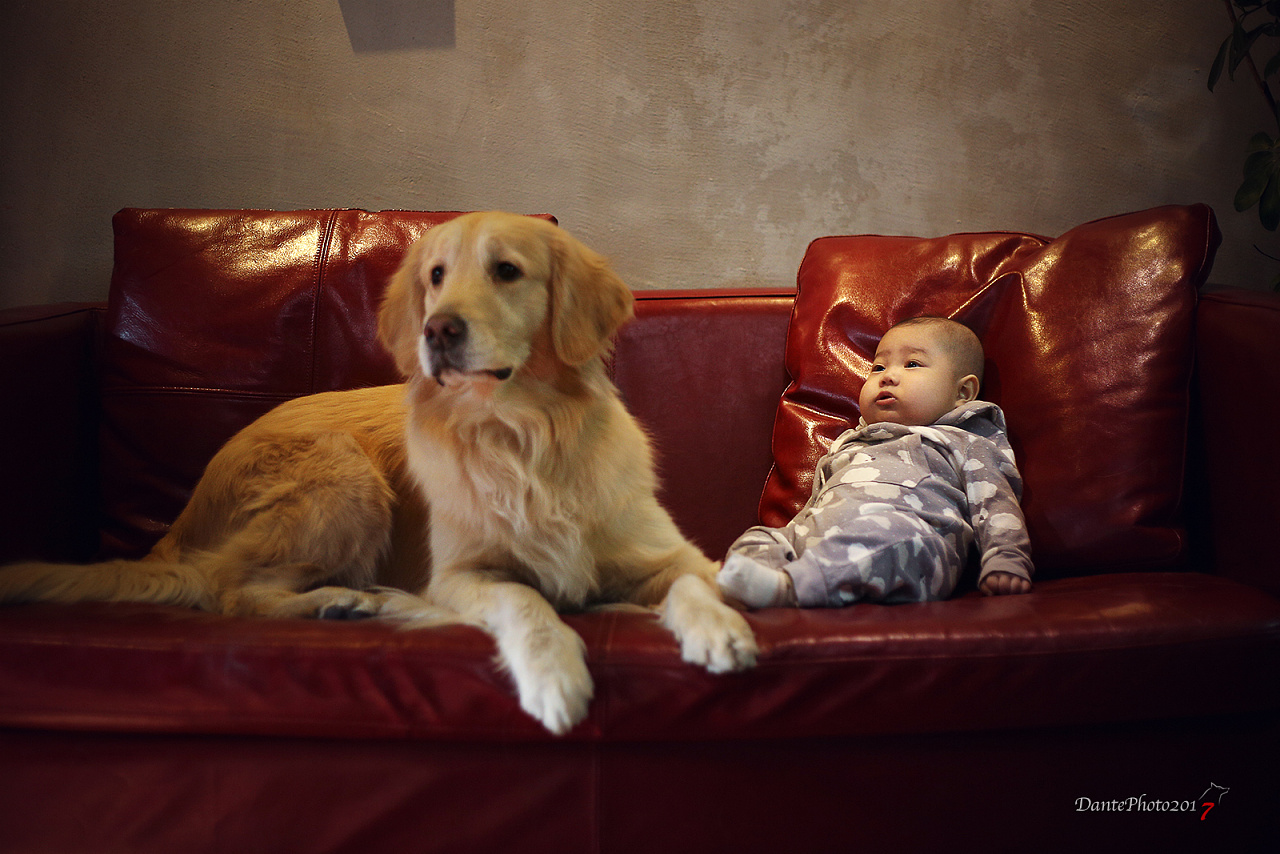 暖一下 儿童与狗|摄影|宠物摄影|dantephoto - 原创作品 - 站酷 (ZCOOL)