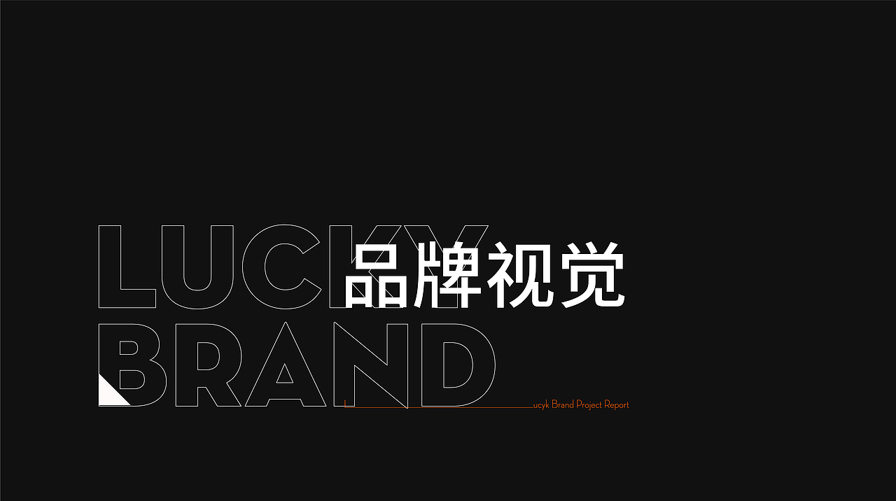 超吉品牌项目汇报案