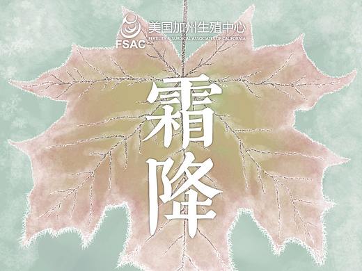 近期手绘作品（商业插画）