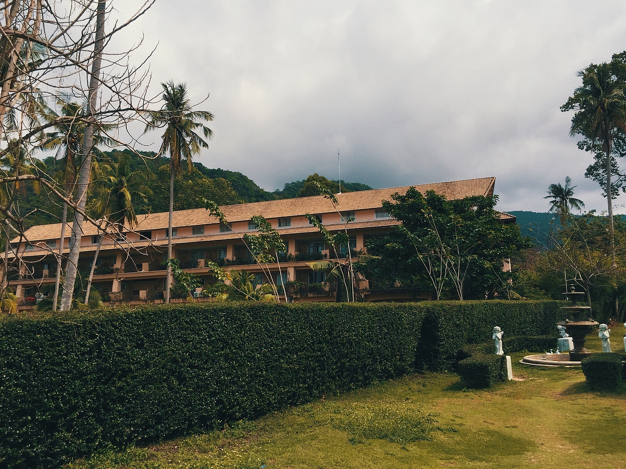 北京与泰国之光