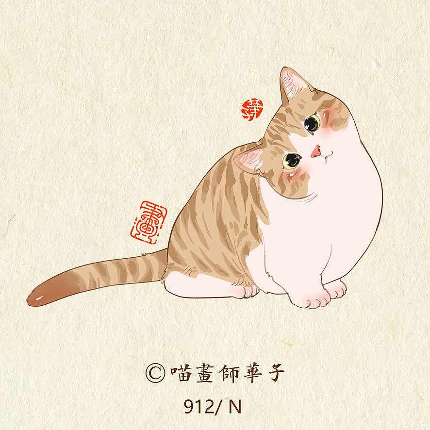 画猫的第三季250天,937天的画猫纪录