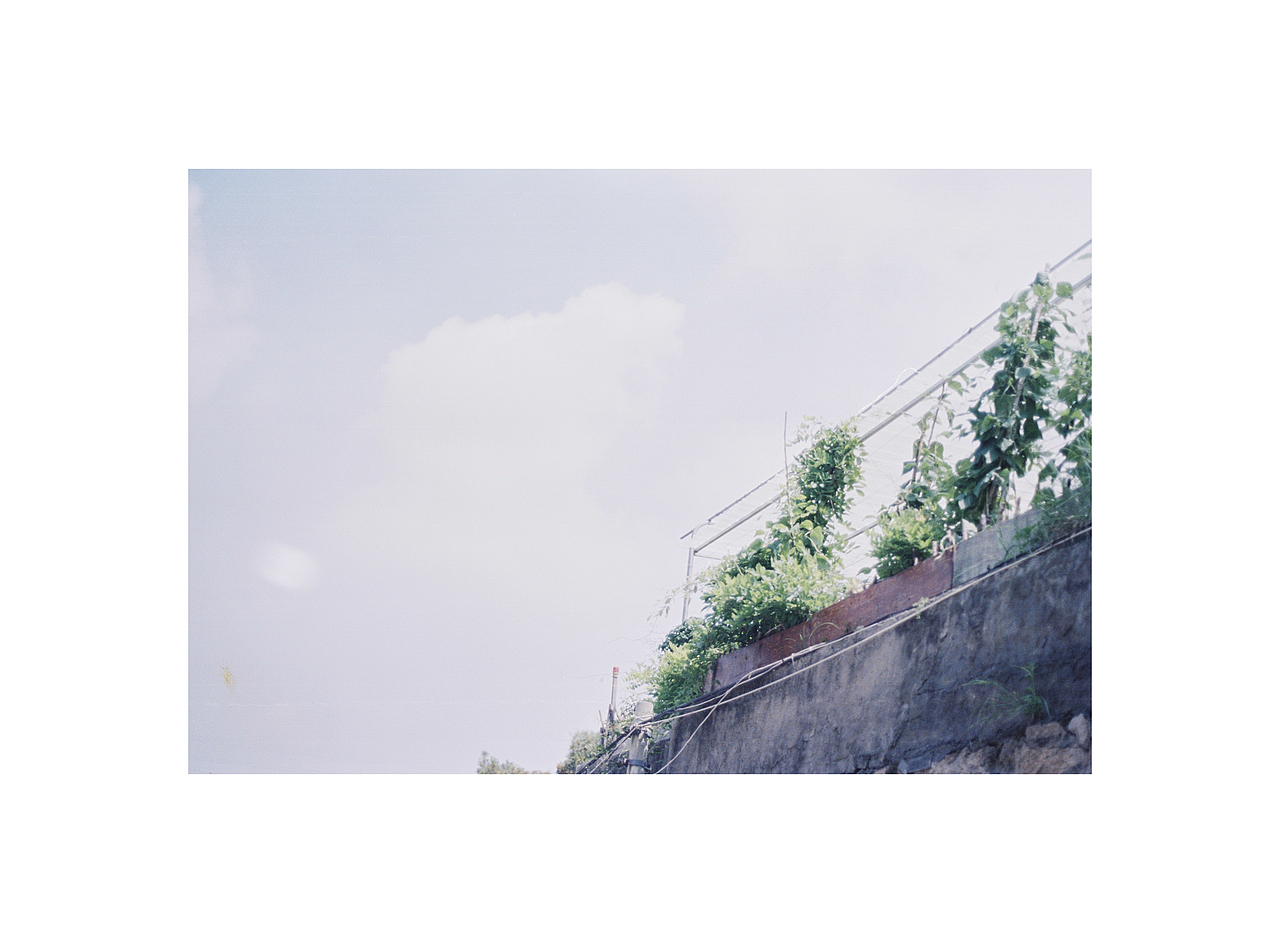 # 夏 #5.15
