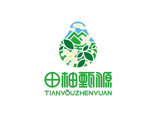 田柚甄源logo设计提案-飞机稿