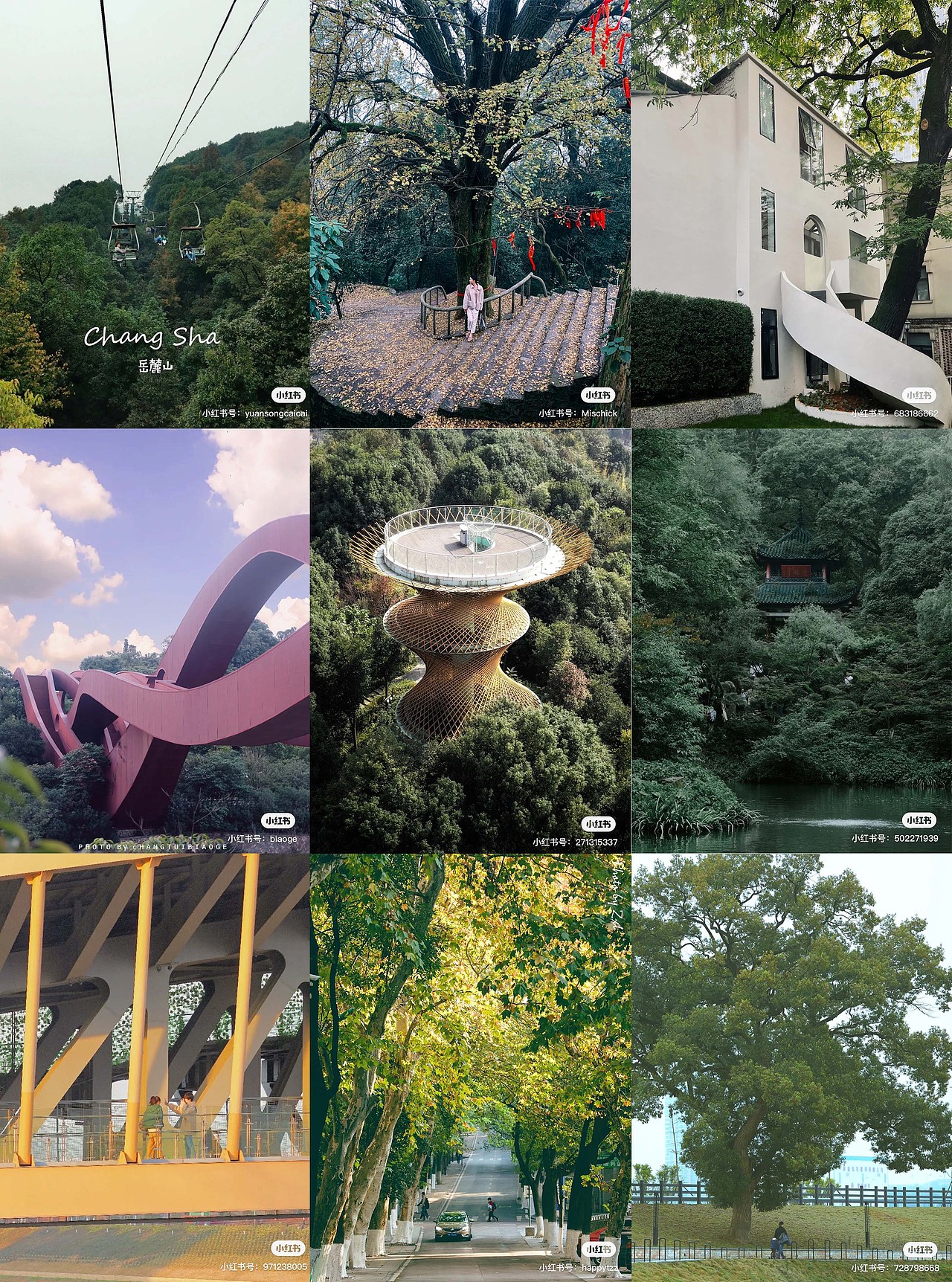 为保护原创,附所有照片参考,感谢老师们好看的照片,右下角为出处~