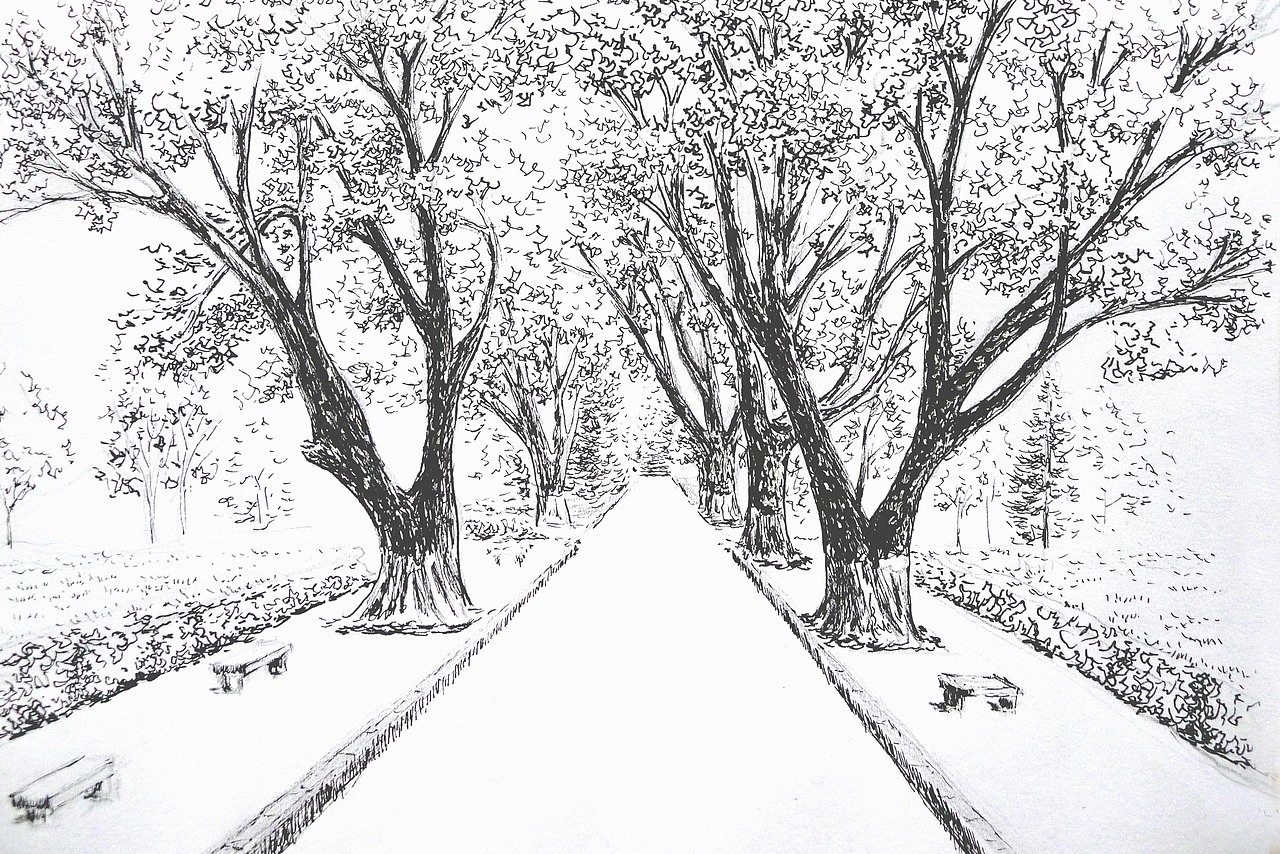 百年梧桐 每一棵都是百年以上的法国梧桐,高大的身躯充满斑驳的印记