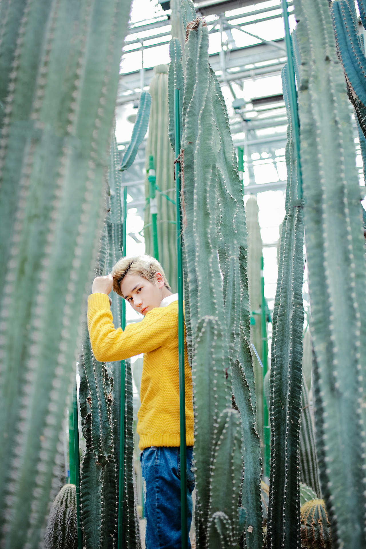 「君は永遠の恋人」