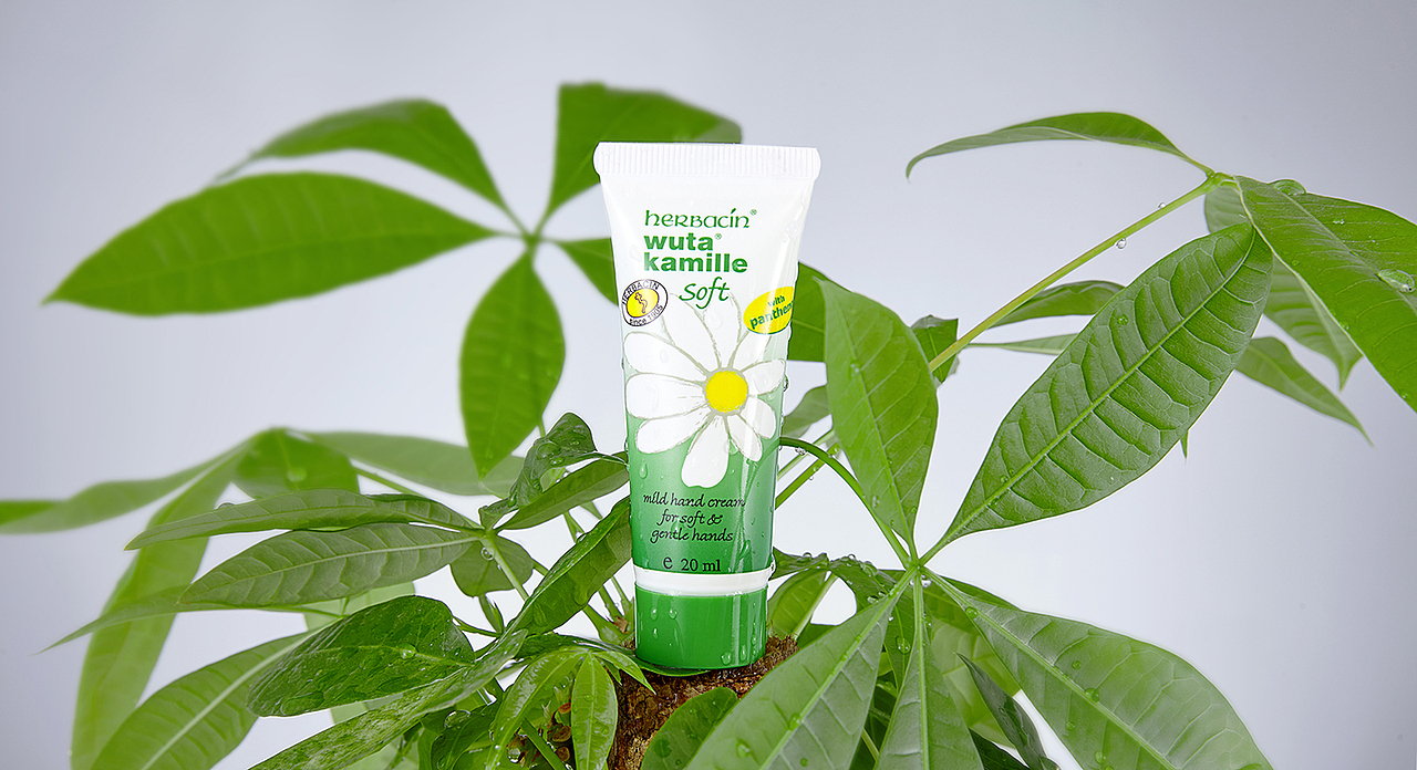 万物生长:德国小甘菊护手霜创意拍摄