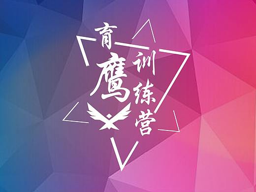 活动宣传/实习生/培训/横幅/餐卷/海报