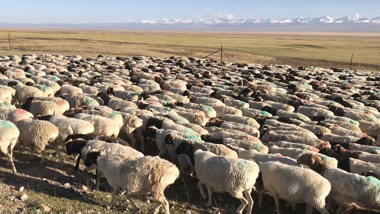 摄影日记丨西北之行