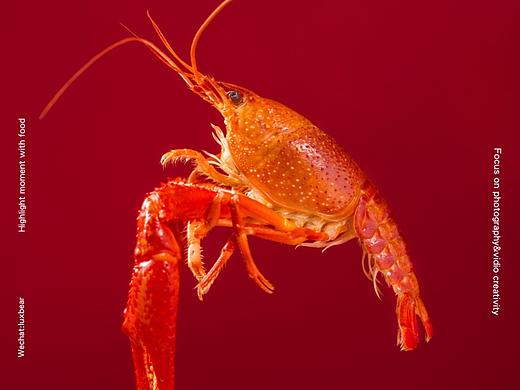 商业案例丨小龙虾的高光时刻