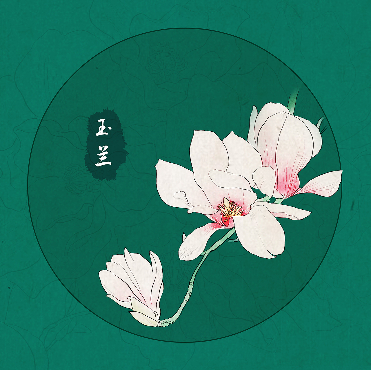 玉兰|插画|创作习作|mikina_原创作品-站酷zcool