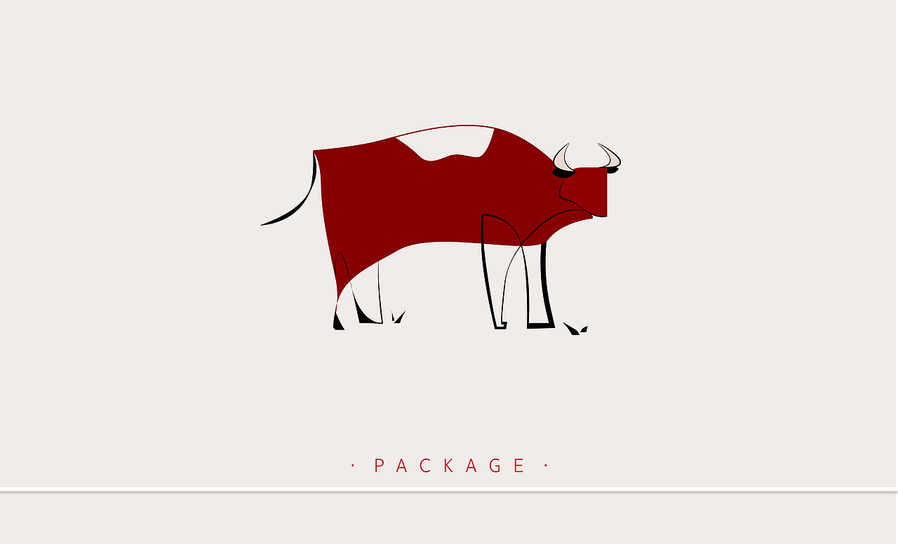 BAISHITAOIST--品牌包装设计（图ZMTEwNjY2MjAw） - 品牌 - 站酷设计师jingqi_x原创素材 - 站酷ZCOOL